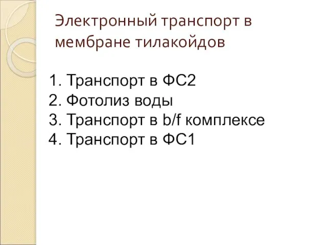 Электронный транспорт в мембране тилакойдов Транспорт в ФС2 Фотолиз воды Транспорт