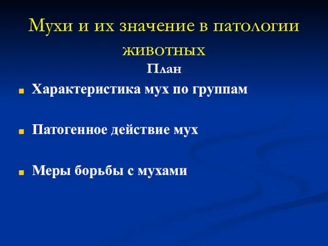 Мухи и их значение в патологии животных План Характеристика мух по