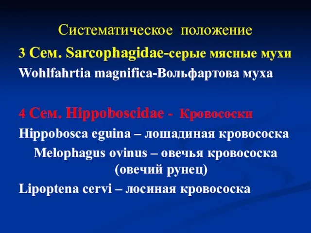 Систематическое положение 3 Сем. Sarcophagidae-серые мясные мухи Wohlfahrtia magnifica-Вольфартова муха 4