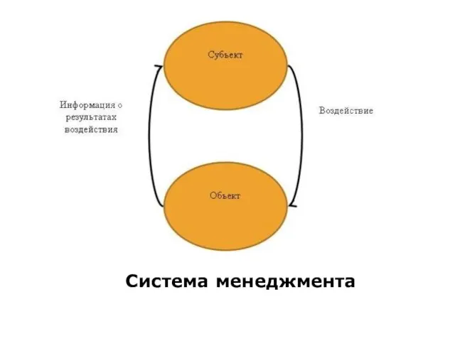 Система менеджмента