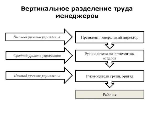 Вертикальное разделение труда менеджеров