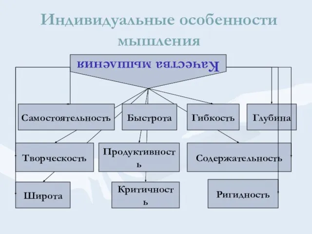 Индивидуальные особенности мышления Качества мышления Самостоятельность Быстрота Глубина Гибкость Содержательность Продуктивность Критичность Широта Творческость Ригидность