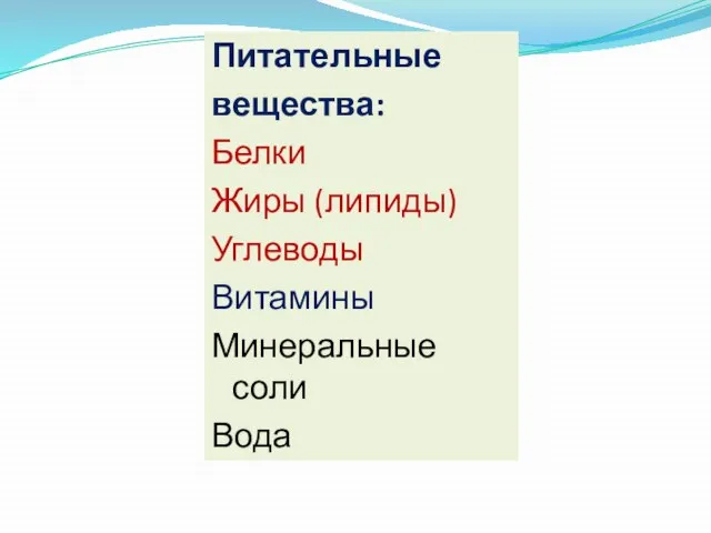 Питательные вещества: Белки Жиры (липиды) Углеводы Витамины Минеральные соли Вода