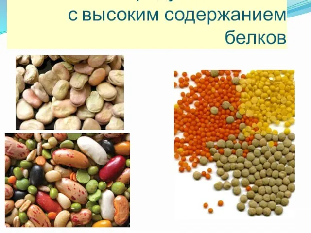 Продукты питания с высоким содержанием белков