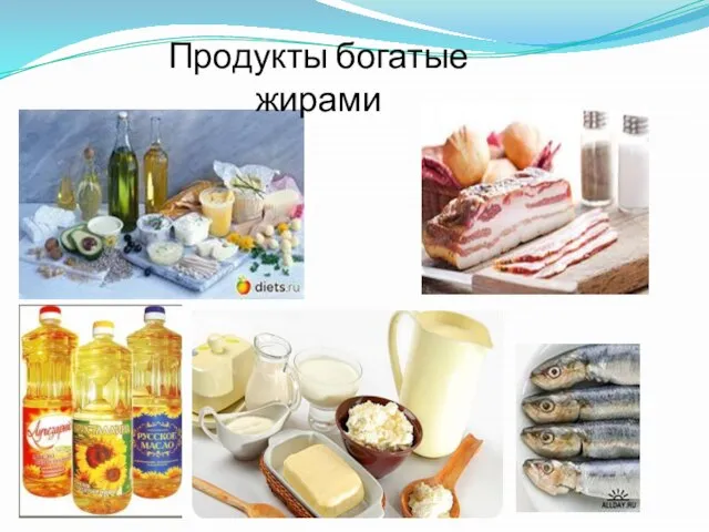 Продукты богатые жирами