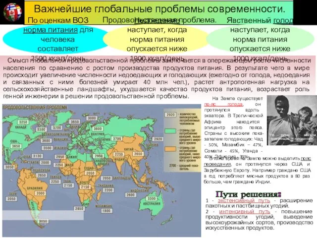 Важнейшие глобальные проблемы современности. Продовольственная проблема. По оценкам ВОЗ норма питания