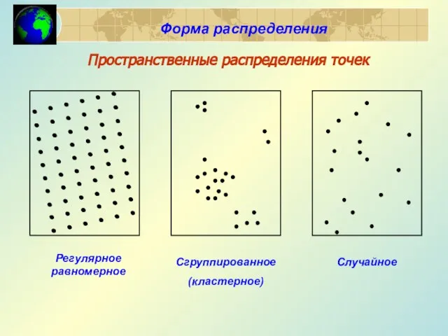 Пространственные распределения точек Регулярное равномерное Сгруппированное (кластерное) Случайное Форма распределения