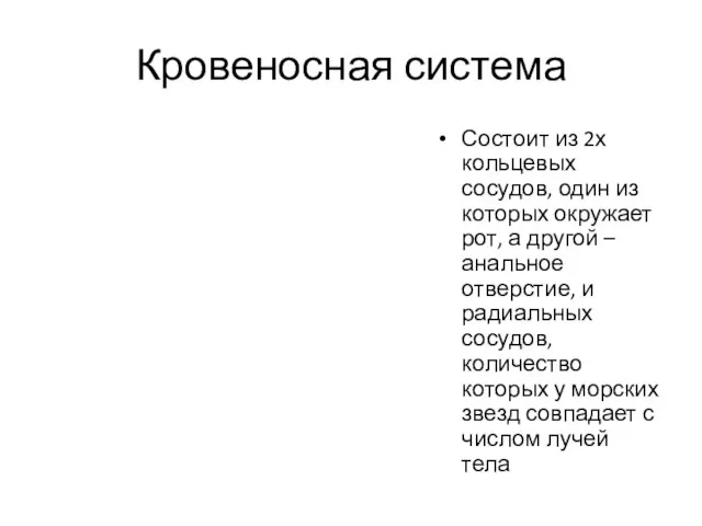 Кровеносная система Состоит из 2х кольцевых сосудов, один из которых окружает