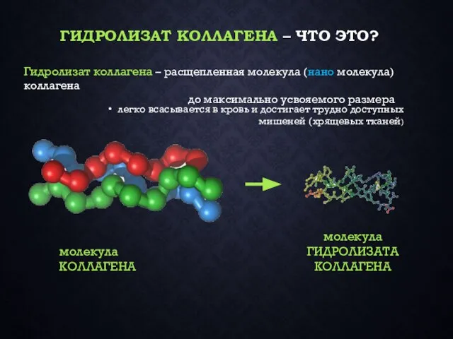 ГИДРОЛИЗАТ КОЛЛАГЕНА – ЧТО ЭТО? молекула КОЛЛАГЕНА молекула ГИДРОЛИЗАТА КОЛЛАГЕНА Гидролизат