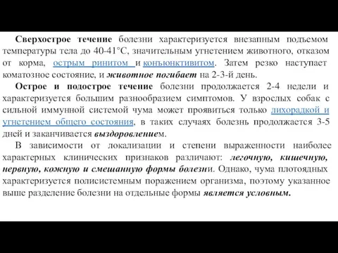 Сверхострое течение болезни характеризуется внезапным подъемом температуры тела до 40-41°С, значительным