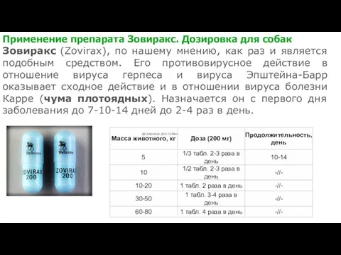 Применение препарата Зовиракс. Дозировка для собак Зовиракс (Zovirax), по нашему мнению,