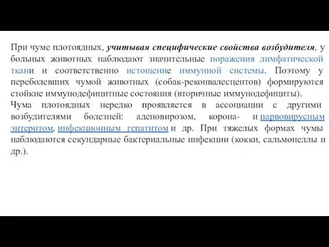 При чуме плотоядных, учитывая специфические свойства возбудителя, у больных животных наблюдают