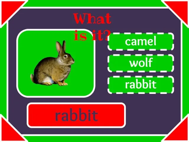 wolf camel rabbit What is it? rabbit