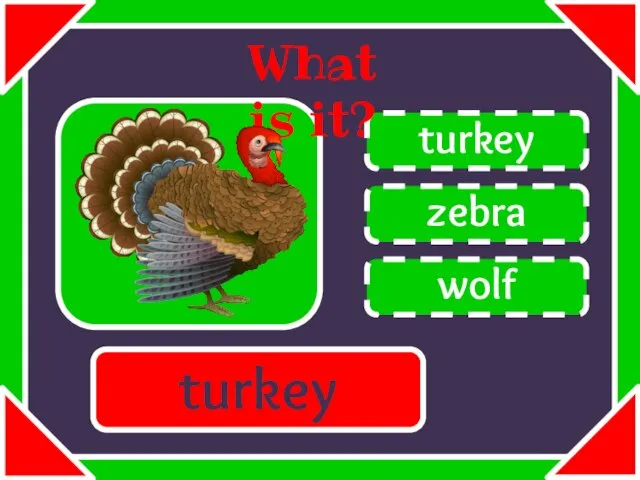 zebra turkey wolf What is it? turkey