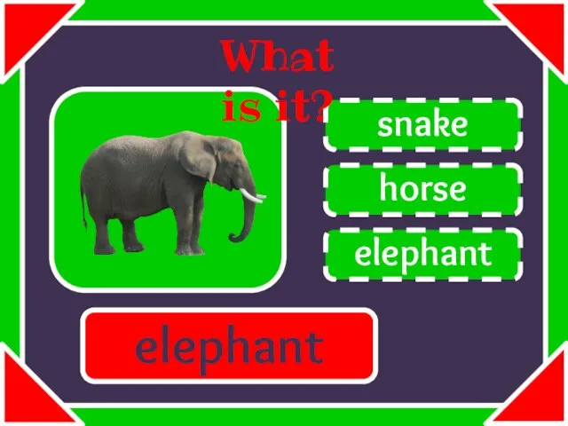 horse snake elephant What is it? elephant