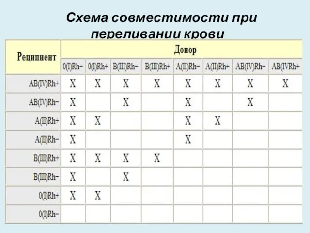 Схема совместимости при переливании крови