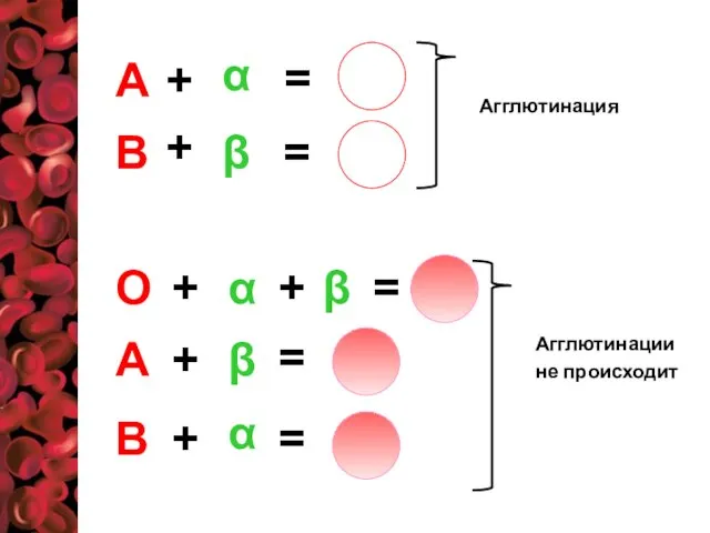 А В α β + = + = О β +