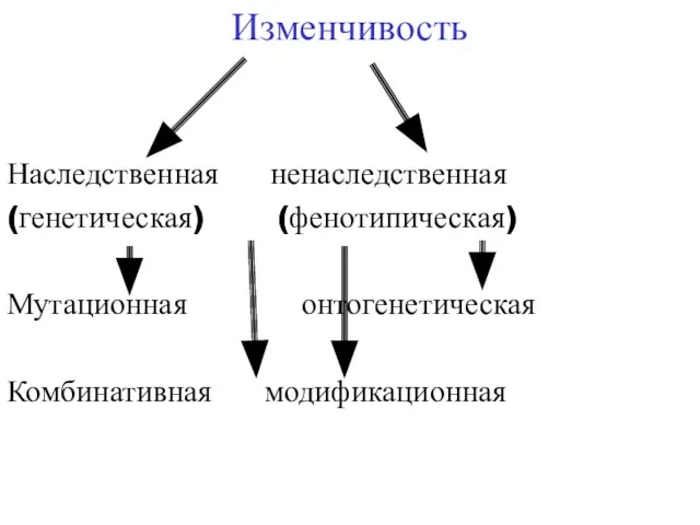 Изменчивость Наследственная ненаследственная (генетическая) (фенотипическая) Мутационная онтогенетическая Комбинативная модификационная