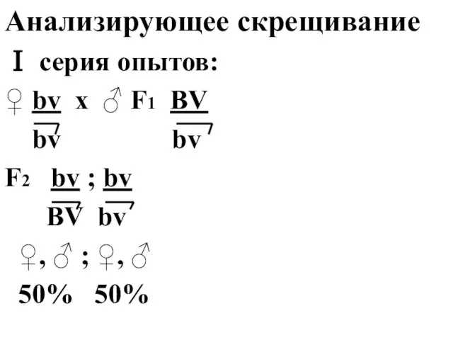 Анализирующее скрещивание Ⅰ серия опытов: ♀ bv x ♂ F1 BV