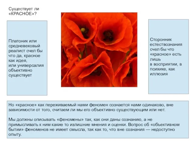 Платоник или средневековый реалист счел бы что да, красное как идея,