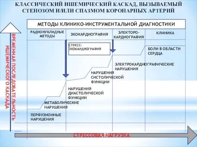 КЛАССИЧЕСКИЙ ИШЕМИЧЕСКИЙ КАСКАД, ВЫЗЫВАЕМЫЙ СТЕНОЗОМ И/ИЛИ СПАЗМОМ КОРОНАРНЫХ АРТЕРИЙ СТР СТРЕССОВАЯ