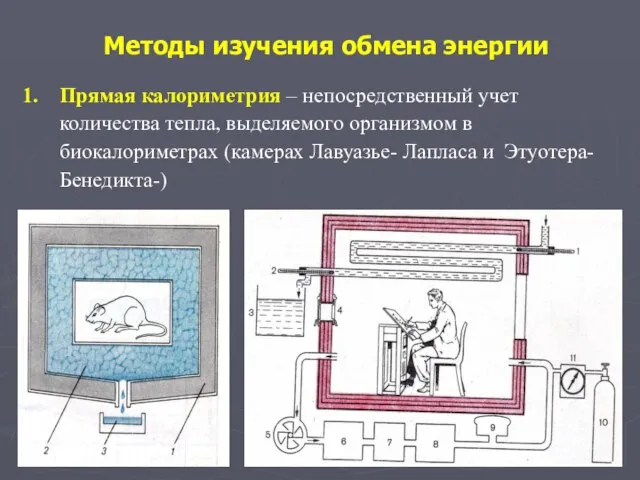 Методы изучения обмена энергии Прямая калориметрия – непосредственный учет количества тепла,