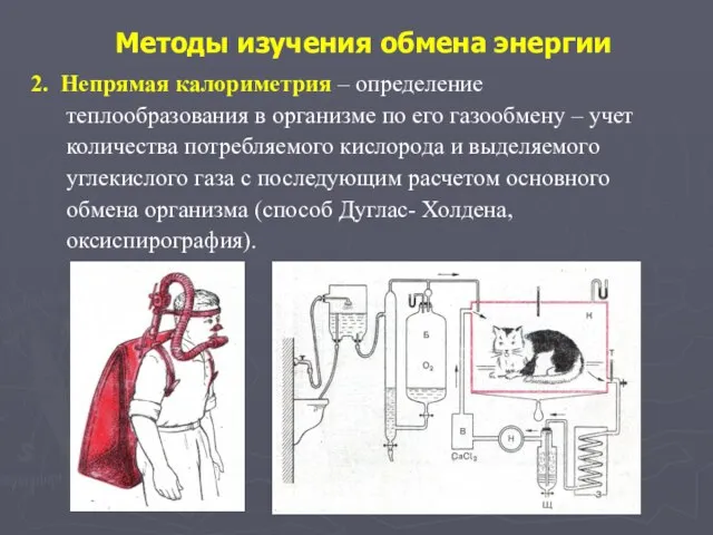 Методы изучения обмена энергии 2. Непрямая калориметрия – определение теплообразования в