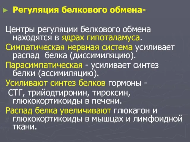 Регуляция белкового обмена- Центры регуляции белкового обмена находятся в ядрах гипоталамуса.