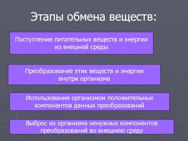 Этапы обмена веществ: Поступление питательных веществ и энергии из внешней среды