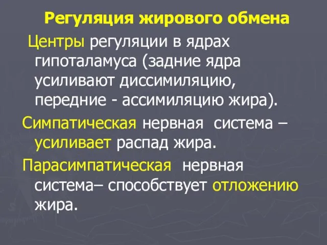 Регуляция жирового обмена Центры регуляции в ядрах гипоталамуса (задние ядра усиливают