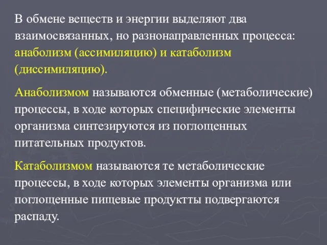 В обмене веществ и энергии выделяют два взаимосвязанных, но разнонаправленных процесса: