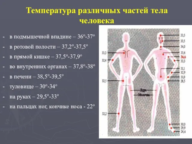 в подмышечной впадине – 36о-37о в ротовой полости – 37,2о-37,5о в