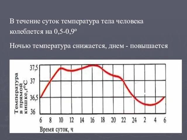 В течение суток температура тела человека колеблется на 0,5-0,9о Ночью температура снижается, днем - повышается