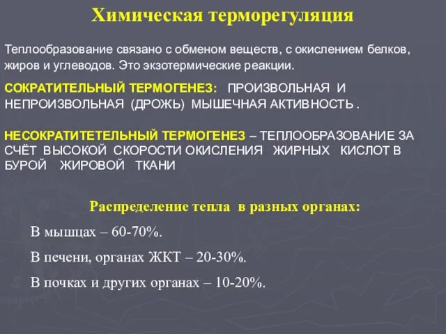 Химическая терморегуляция Теплообразование связано с обменом веществ, с окислением белков, жиров