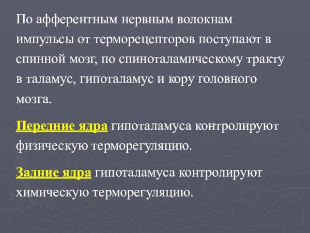 По афферентным нервным волокнам импульсы от терморецепторов поступают в спинной мозг,