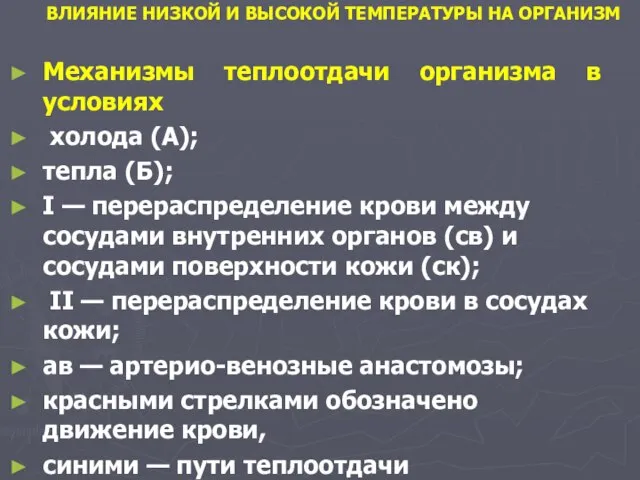 ВЛИЯНИЕ НИЗКОЙ И ВЫСОКОЙ ТЕМПЕРАТУРЫ НА ОРГАНИЗМ Механизмы теплоотдачи организма в