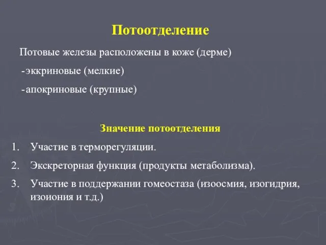 Потоотделение Потовые железы расположены в коже (дерме) эккриновые (мелкие) апокриновые (крупные)