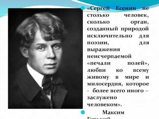 «Сергей Есенин не столько человек, сколько орган, созданный природой исключительно для