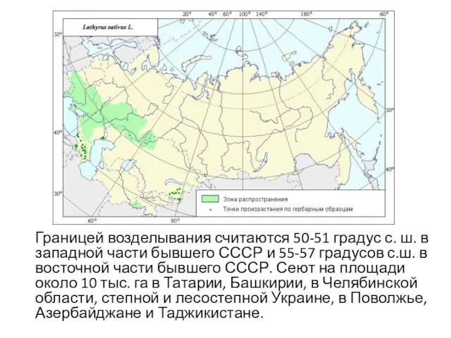 Границей возделывания считаются 50-51 градус с. ш. в западной части бывшего