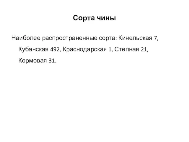 Сорта чины Наиболее распространенные сорта: Кинельская 7, Кубанская 492, Краснодарская 1, Степная 21, Кормовая 31.