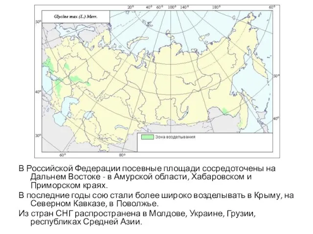 В Российской Федерации посевные площади сосредоточены на Дальнем Востоке - в