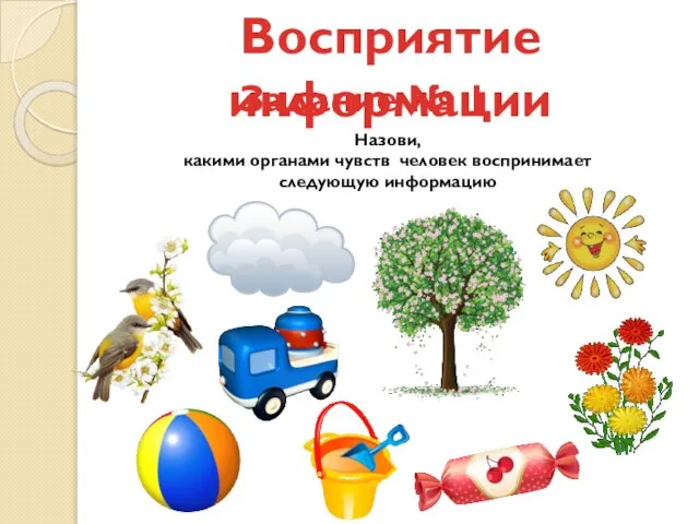 Восприятие информации Задание № 1 Назови, какими органами чувств человек воспринимает следующую информацию