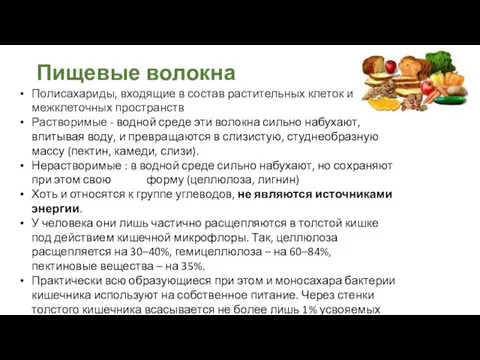 Пищевые волокна Полисахариды, входящие в состав растительных клеток и межклеточных пространств