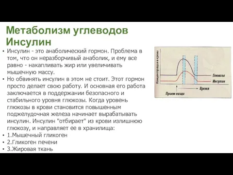 Метаболизм углеводов Инсулин Инсулин - это анаболический гормон. Проблема в том,