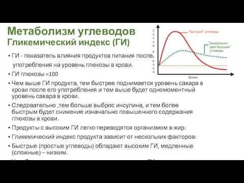 Метаболизм углеводов Гликемический индекс (ГИ) ГИ - показатель влияния продуктов питания