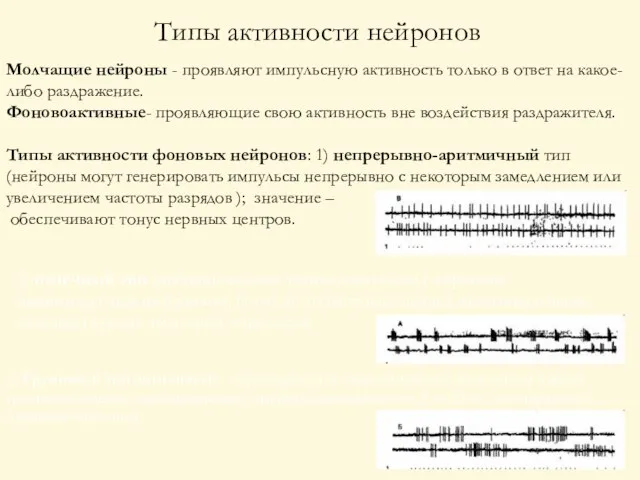 Молчащие нейроны - проявляют импульсную активность только в ответ на какое-либо