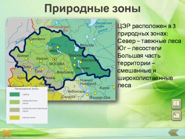 Природные зоны ЦЭР расположен в 3 природных зонах: Север – таежные