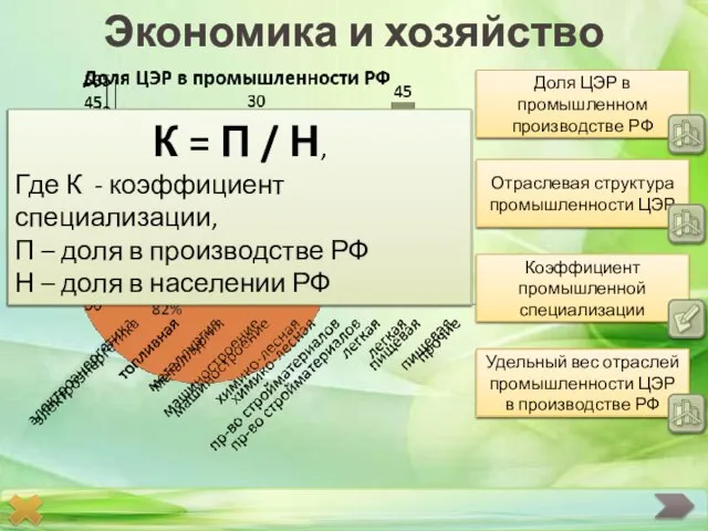 Экономика и хозяйство Доля ЦЭР в промышленном производстве РФ Отраслевая структура