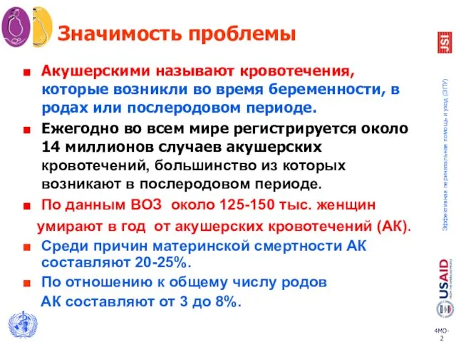 Значимость проблемы Акушерскими называют кровотечения, которые возникли во время беременности, в