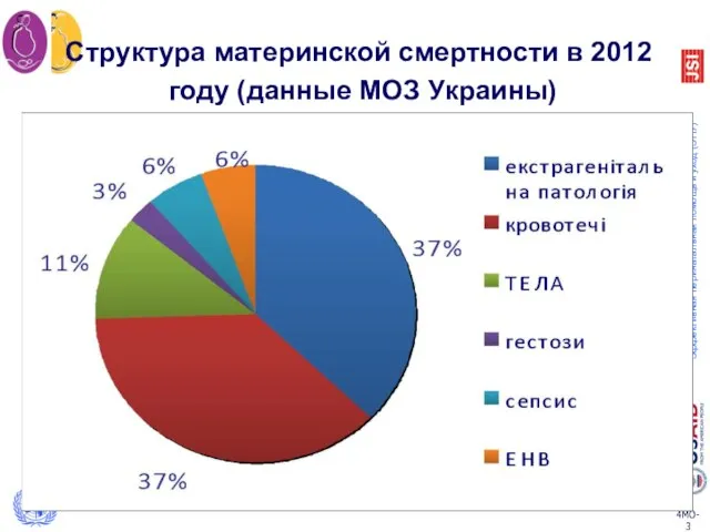 Структура материнской смертности в 2012 году (данные МОЗ Украины)